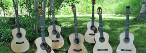 Guitars in the field