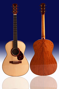 Steel String Front and Back